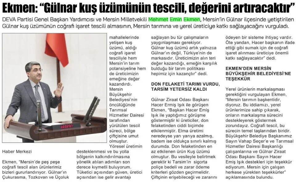 EKMEN: 'GÜLNAR KUŞ ÜZÜMÜNÜN TESCİLİ DEĞERİNİ ARTIRACAKTIR' — gazete kupürü