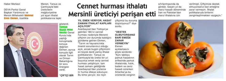CENNET HURMASI İTHALATI MERSİNLİ ÜRETİCİYİ PERİŞAN ETTİ — gazete kupürü