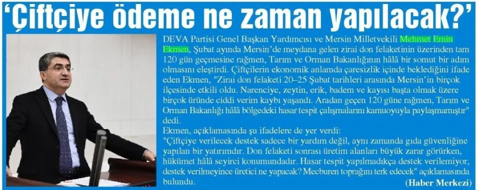 'ÇİFTÇİYE ÖDEME NE ZAMAN YAPILACAK — gazete kupürü