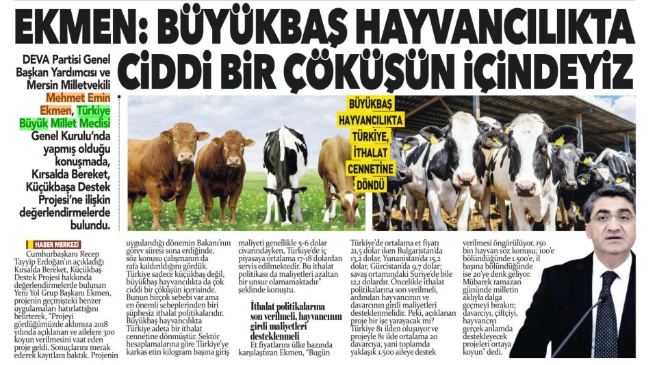 BÜYÜKBAŞ HAYVANCILIKTA CİDDİ BİR ÇÖKÜŞÜN İÇİNDEYİZ