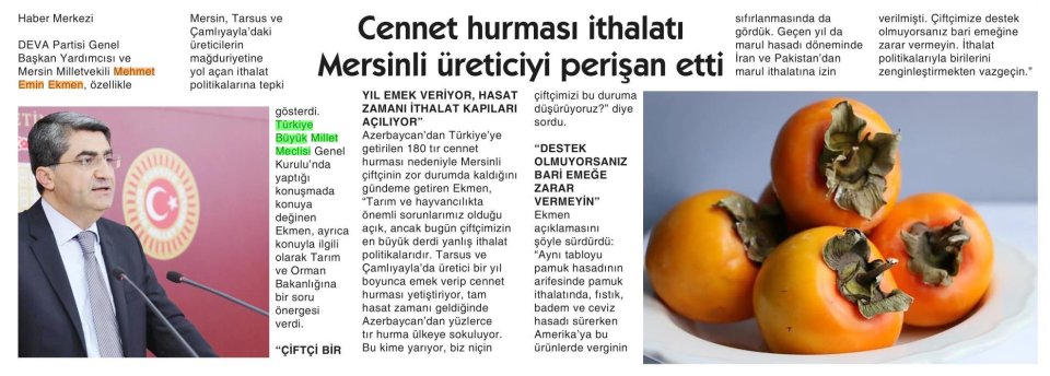 CENNET HURMASI İTHALATI MERSİNLİ ÜRETİCİYİ PERİŞAN ETTİ