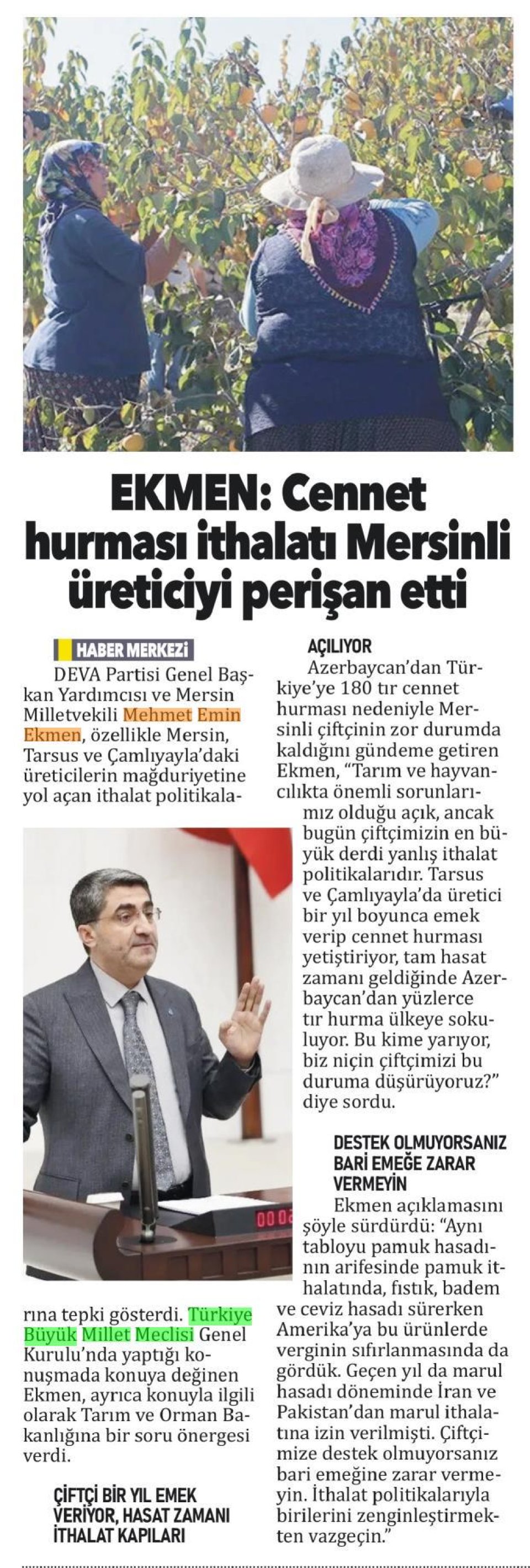 EKMEN: CENNET HURMASI İTHALATI MERSİNLİ ÜRETİCİYİ PERİŞAN ETTİ