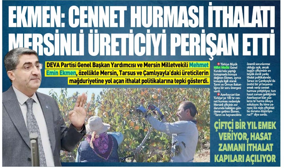  EKMEN: CENNET HURMASI İTHALATI MERSİNLİ ÜRETİCİYİ PERİŞAN ETTİ