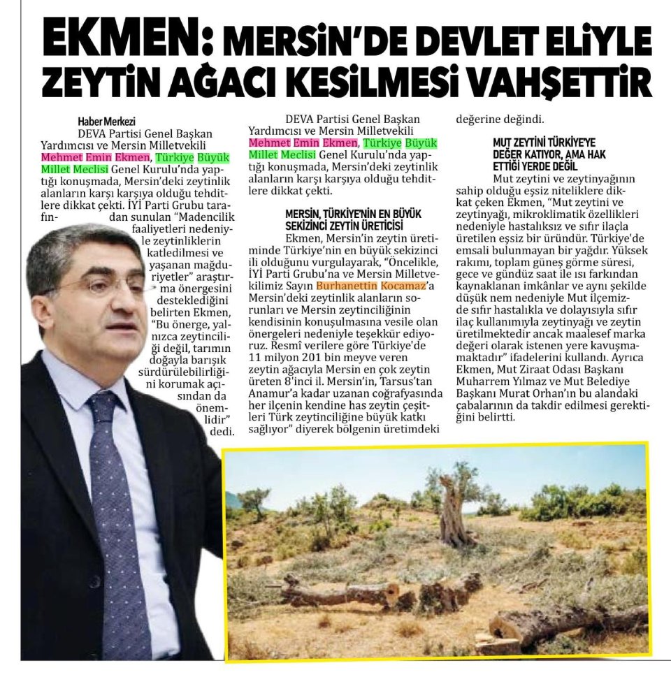 EKMEN: MERSİNDE DEVLET ELİYLE ZEYTİN AĞACI KESİLMESİ VAHŞETTİR