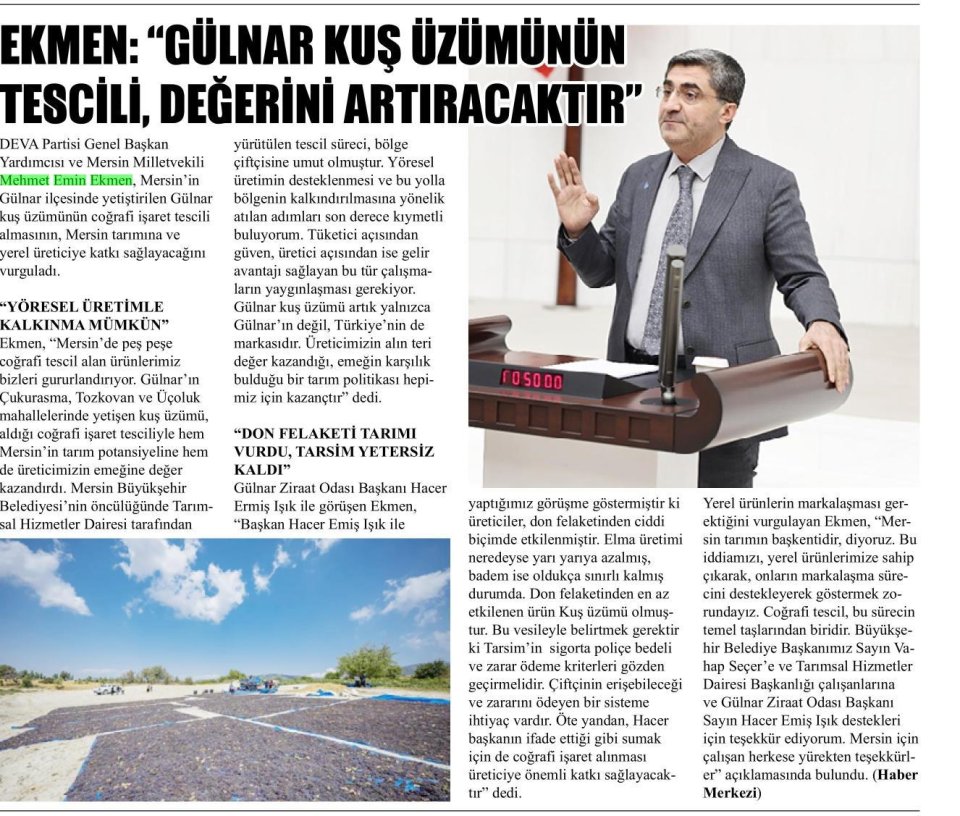 GÜLNAR KUŞ ÜZÜMÜ ARTIK TÜRKİYE'NİN MARKASI
