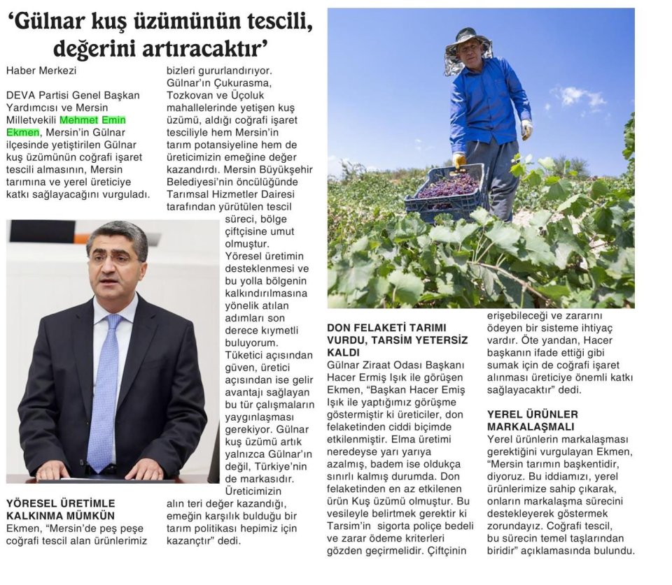 'GÜLNAR KUŞ ÜZÜMÜNÜN TESCİLİ, DEĞERİNİ ARTIRACAKTIR'