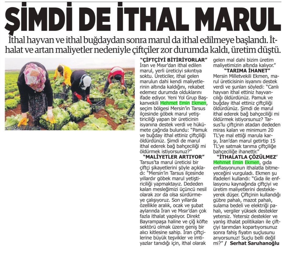 ŞİMDİ DE İTHAL MARUL