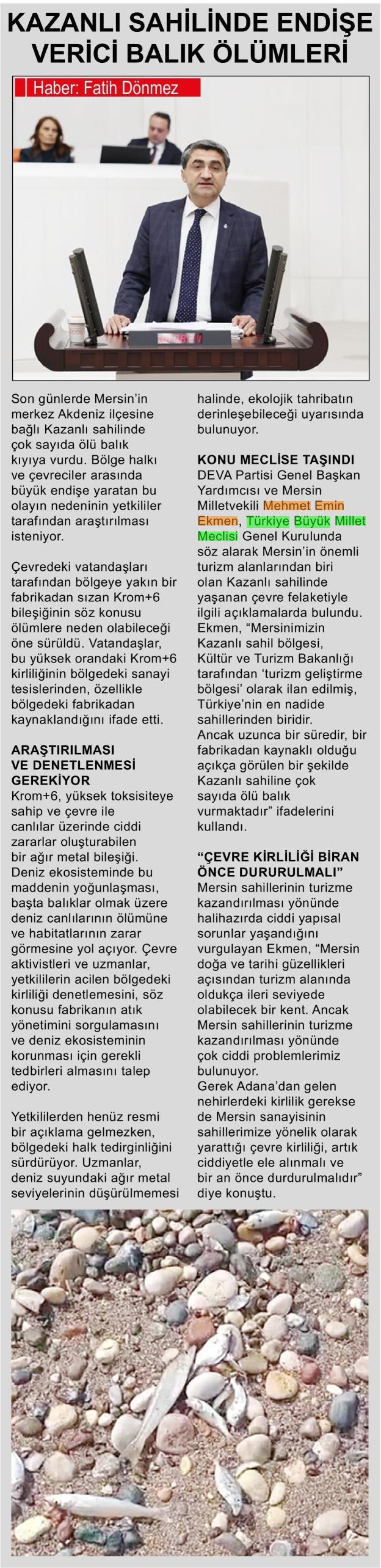 KAZANLI SAHİLİNDE ENDİŞE VERİCİ BALIK ÖLÜMLERİ