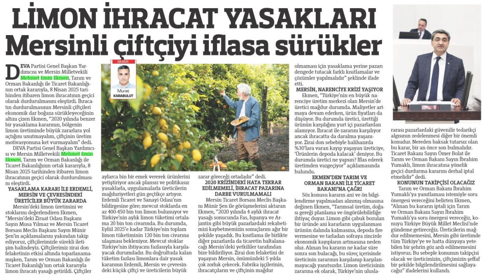 LİMON İHRACAT YASAKLARI MERSİNLİ ÇİFTÇİYİ İFLASA SÜRÜKLER