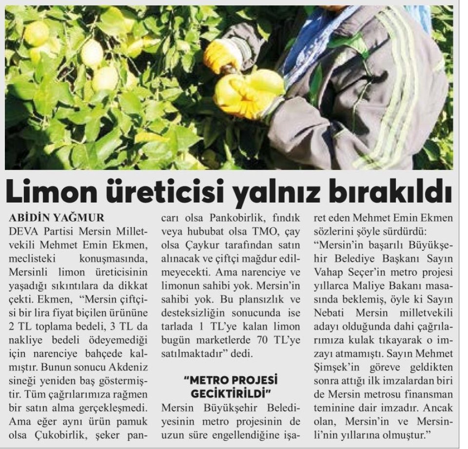 LİMON ÜRETİCİSİ YALNIZ BIRAKILDI