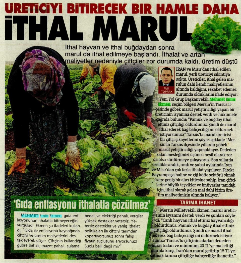 MARUL DA İTHAL ETTİK