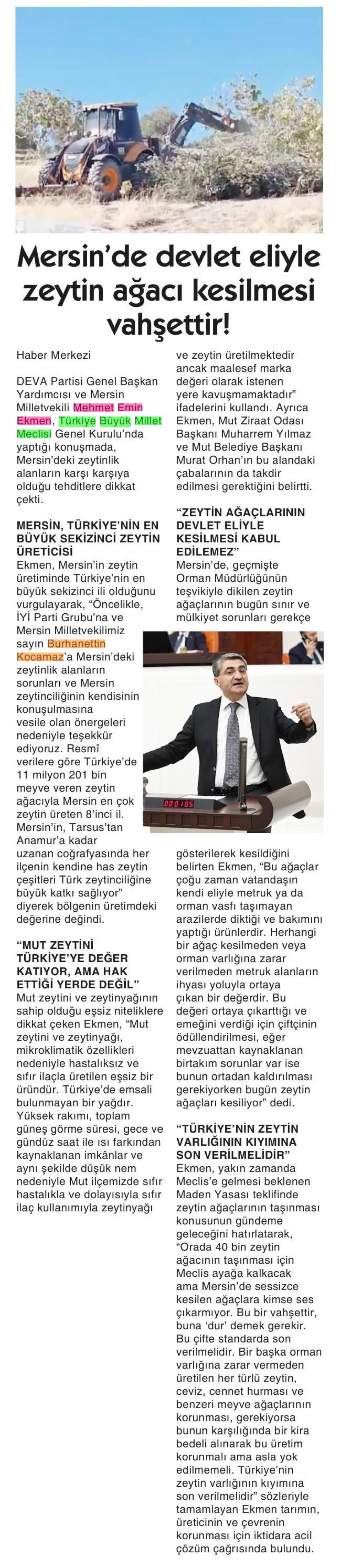 MERSİN'DE DEVLET ELİYLE ZEYTİN AĞACI KESİLMESİ VAHŞETTİR!