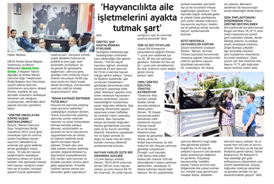 MERSİN'DE HAYVANCILIK ALARM VERİYOR!