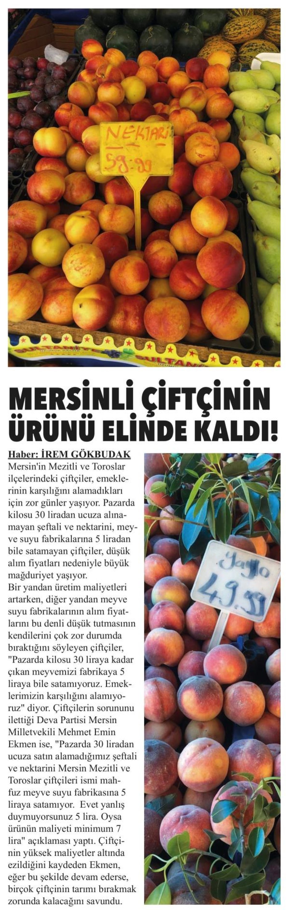 MERSİNLİ ÇİFTÇİNİN ÜRÜNÜ ELİNDE KALDI!