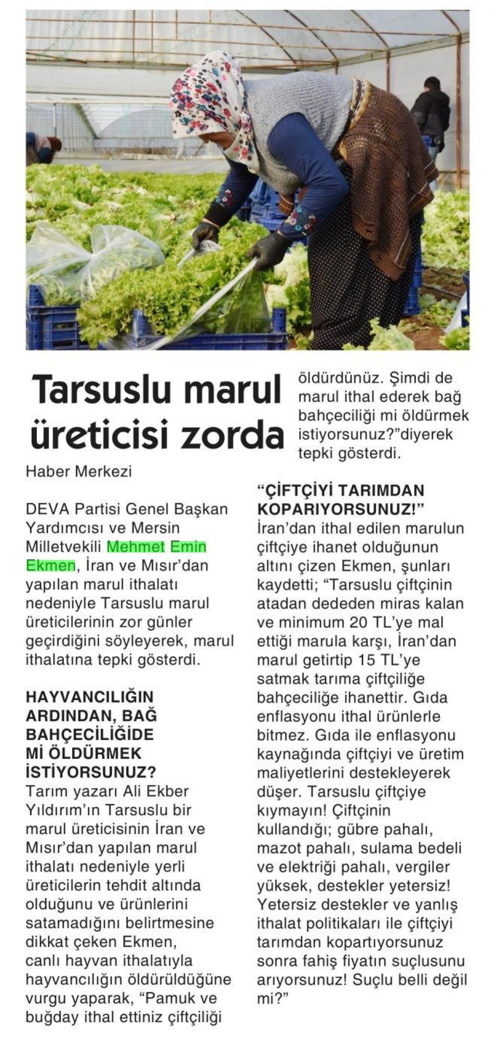 TARSUSLU MARUL ÜRETİCİSİ ZORDA