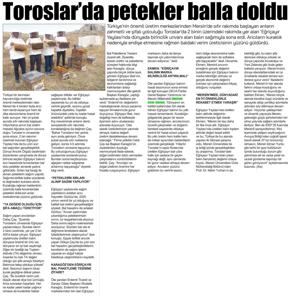 TOROSLARDA PETEKLER BALLA DOLDU