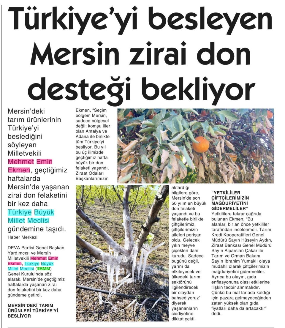 TÜRKİYE'Yİ BESLEYEN MERSİN ZİRAİ DON DESTEĞİ BEKLİYOR