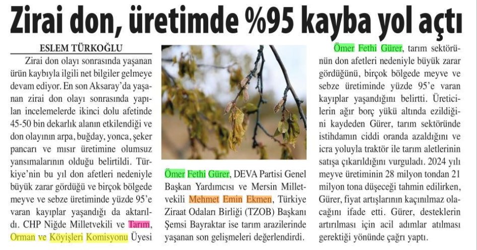 ZİRAİ DON, ÜRETİMDE %95 KAYBA YOL AÇTI